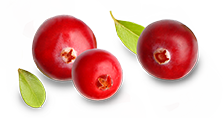 cranberry